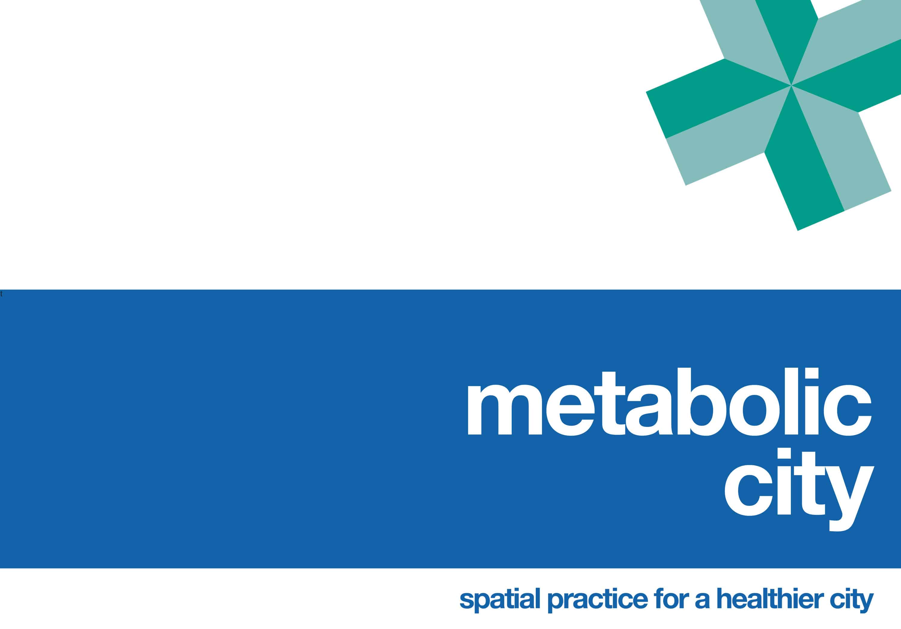 Metabolic-City-a-new-NHS
